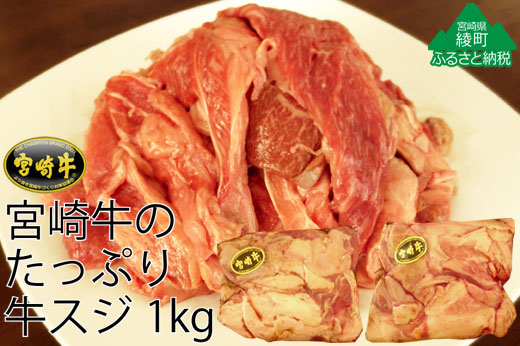 36-85_宮崎牛すじ1kg(500g×2パック)