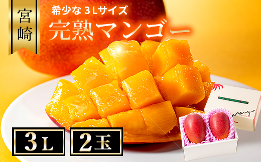 04-36_完熟マンゴー 3Lサイズ 2玉 化粧箱【先行受付】