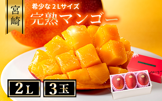 04-37_完熟マンゴー 2Lサイズ 3玉 化粧箱【先行受付】
