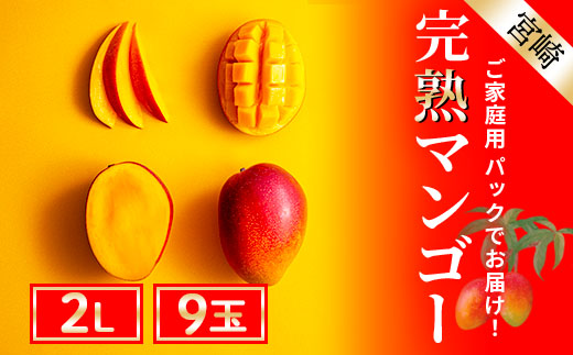 14-28_完熟マンゴー 2Lサイズ 9玉 【先行受付】