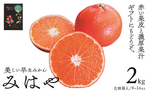 14-41_新品種柑橘「みはや」2kg化粧箱【先行受付】