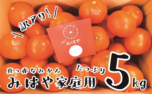 14-45_【訳あり】新品種柑橘「みはや」5kg【先行受付】