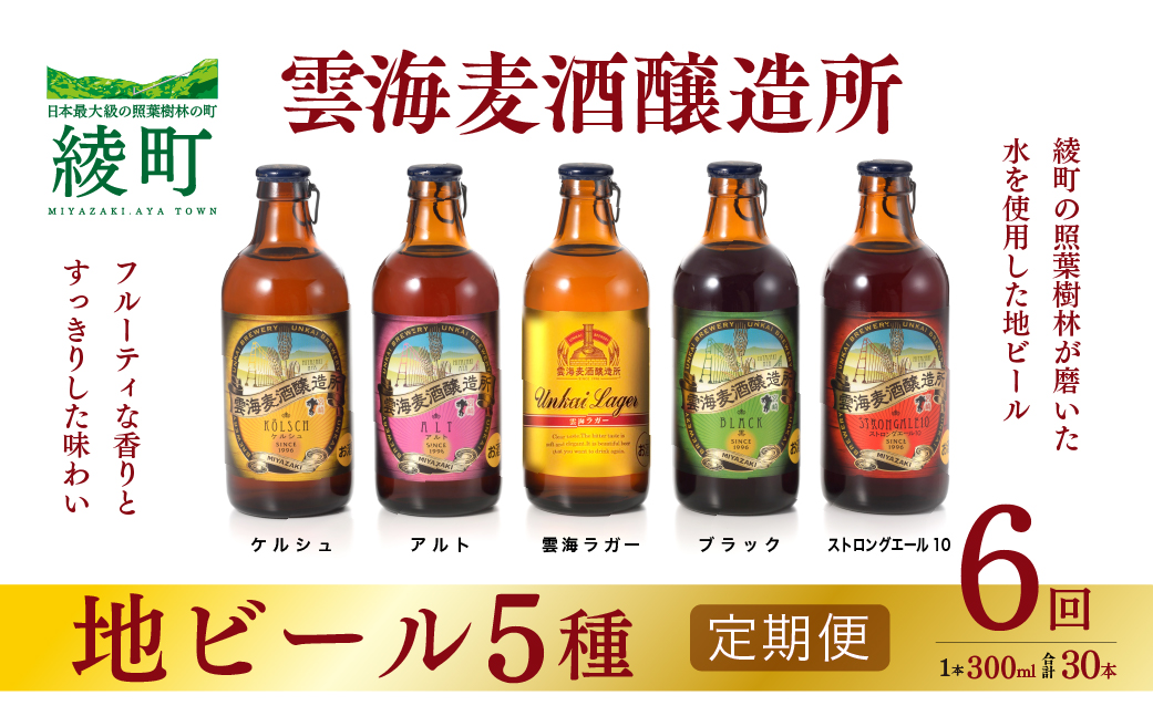02-94_雲海麦酒醸造所 地ビール 5種 飲み比べ セット 【6回 定期便】