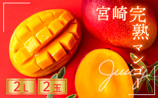 完熟 マンゴー 2L 2玉 700g以上 濃厚 宮崎 高級 果物 フルーツ 贈答 ギフト 甘い 先行受付 送料無料（14-69）