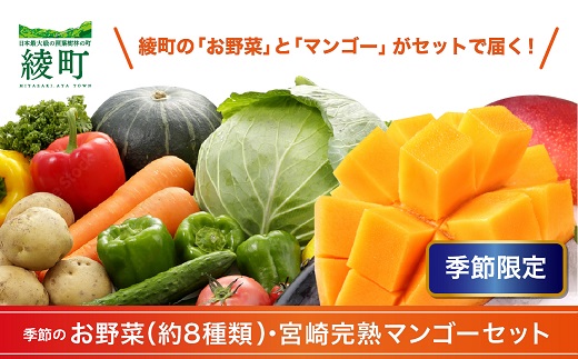  完熟 マンゴー 旬 野菜 セット 季節 限定 新鮮 美味しい 宮崎 果物 フルーツ 先行受付 送料無料（04-76）