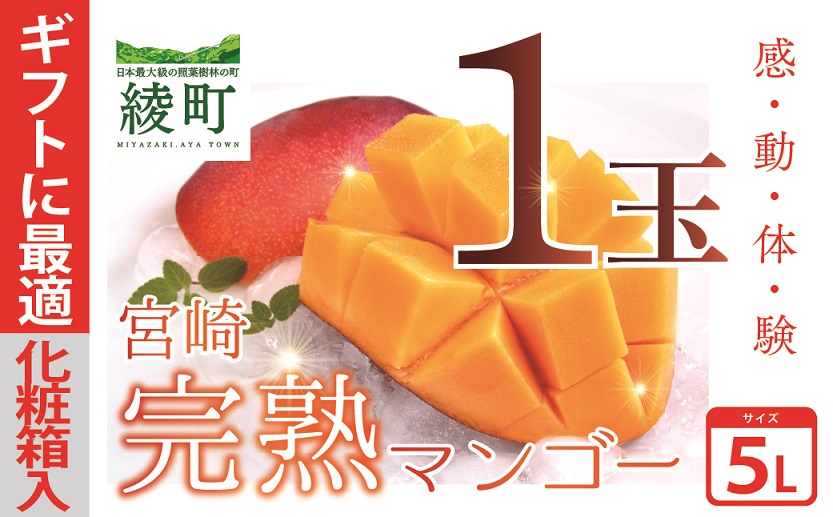  完熟 マンゴー 5L サイズ 1玉 規格 基準 最大 濃厚 宮崎 高級 果物 フルーツ 贈答 ギフト 先行受付 送料無料（04-81）
