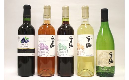 02-107_雲海ワインセット5種