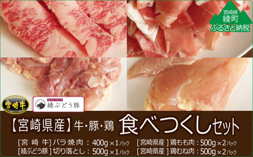36-197_宮崎県産牛・鶏・豚肉食べつくし4種セット2.9kg