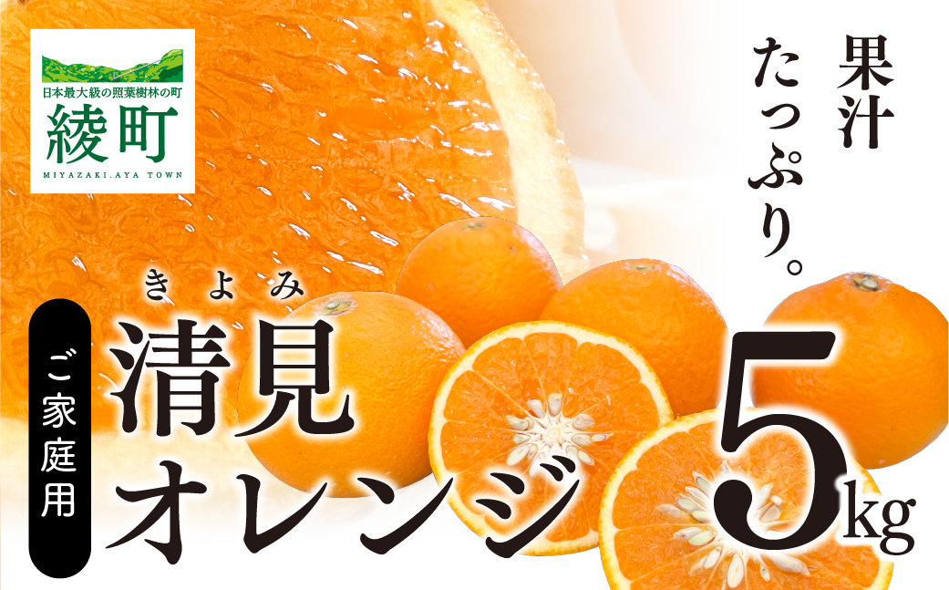 果汁たっぷり 清見オレンジ 5kg 先行受付 （14-77）