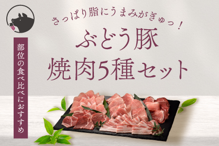 22-14_綾ぶどう豚焼肉セット