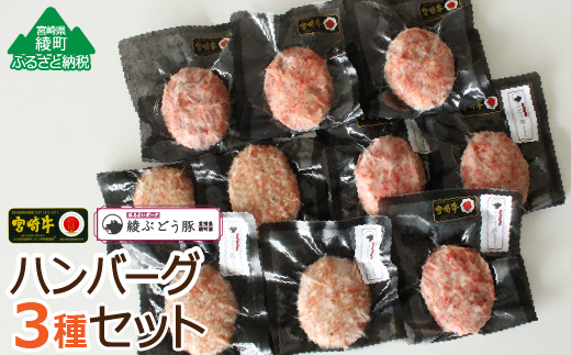 36-56_宮崎牛・綾ぶどう豚ハンバーグ3種セット