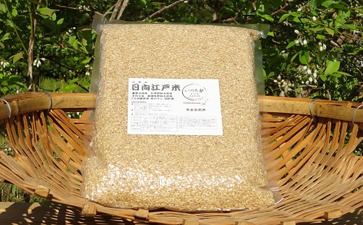 38-14_2 完全自然米　2.7kg　【玄米】