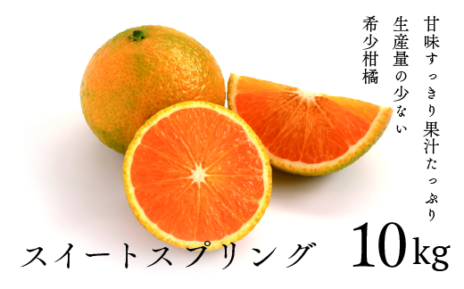 14-31_希少柑橘「スイートスプリング」10kg【先行受付】