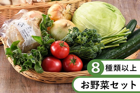 53-01　本日のお野菜セット(Sサイズ)