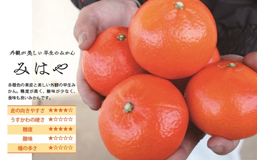 14-41_新品種柑橘「みはや」2kg化粧箱【先行受付】