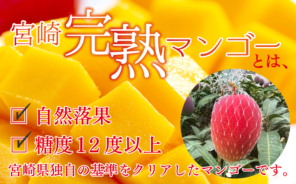 完熟 マンゴー ライチ セット 宮崎 高級 果物 フルーツ ギフト 贈答 先行受付 送料無料（14-72）