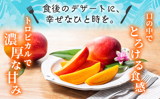  完熟 マンゴー 3L 2玉 化粧箱 宮崎 高級 果物 フルーツ 濃厚 ギフト のし 贈答 先行受付 送料無料（04-78）