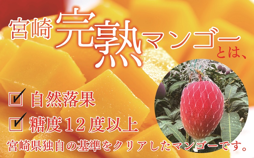  完熟 マンゴー 5L サイズ 1玉 規格 基準 最大 濃厚 宮崎 高級 果物 フルーツ 贈答 ギフト 先行受付 送料無料（04-81）