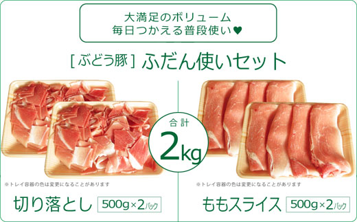 36-198_綾ぶどう豚ふだん使いセット2kg（500g×2パック×2種）