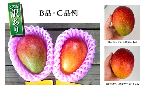 訳あり 完熟 マンゴー 2L 3L 5玉 濃厚 高級 宮崎 果物 フルーツ 贈答 ギフト 甘い 先行受付 送料無料（14-80）