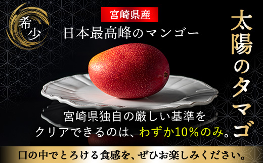 14-25_太陽のタマゴ 2玉 約1kg 完熟マンゴー【先行受付】