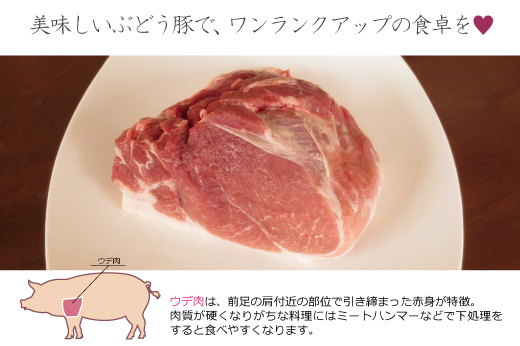 36-127_ぶどう豚ウデブロック1kg