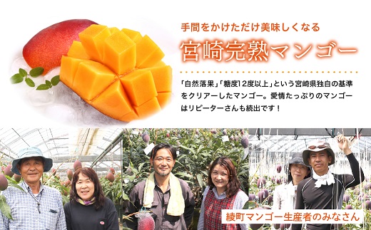 04-41_完熟マンゴー＆旬野菜セット【先行受付】