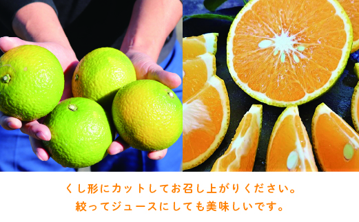 14-58_希少柑橘「スイートスプリング」5kg【先行受付】