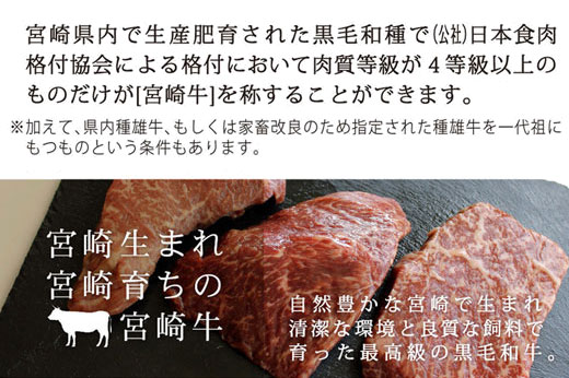 36-165_宮崎牛特上食べ比べセット