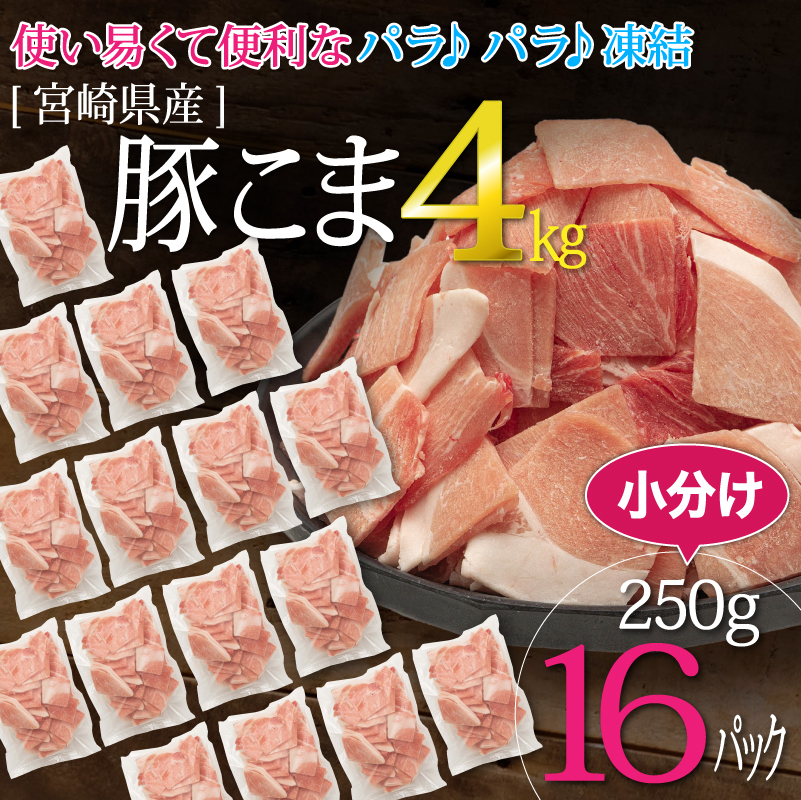 どどーん！と宮崎県産豚肉を4kgお届け！